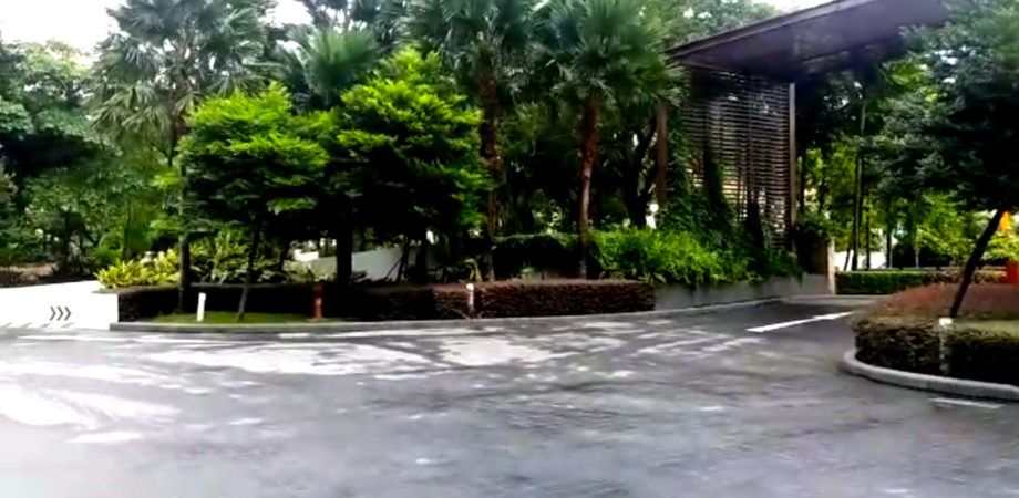 Garden Maintenance