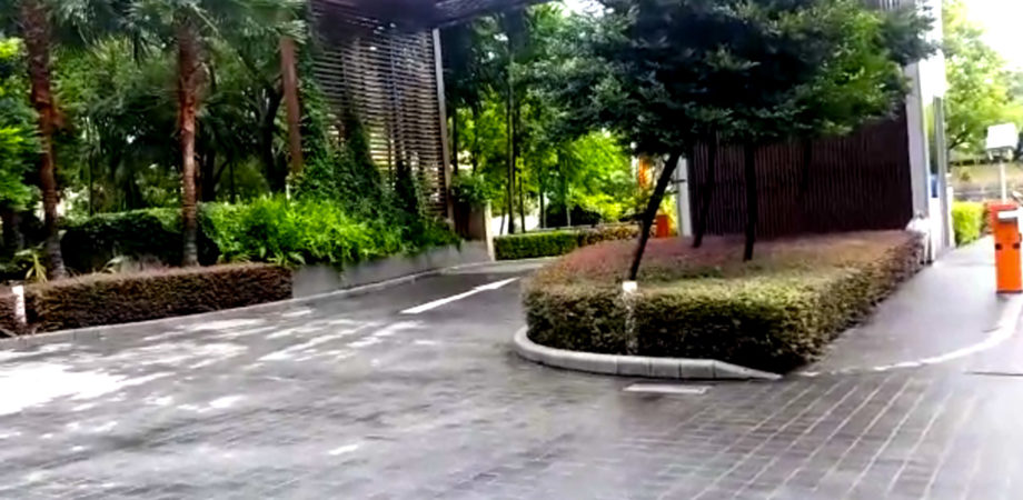 Garden Maintenance