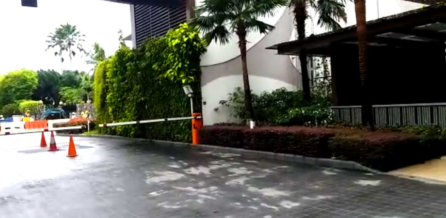 Garden Maintenance